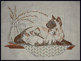 Siamese mother with 3 babies